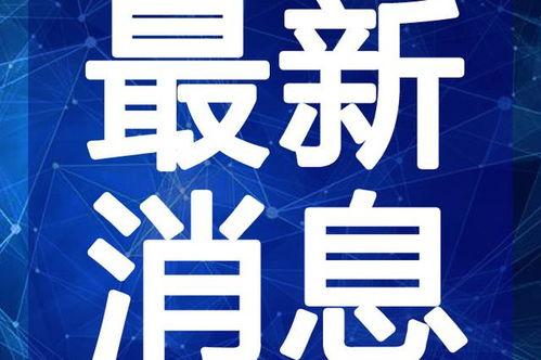 竹林小区新闻爆料视频最新,真相揭秘，居民生活受影响